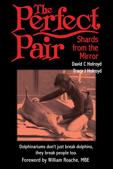 The Perfect Pair: Shards from the Mirror - David C Holroyd - Tracy J Holroyd