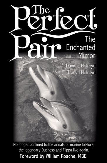 The Perfect Pair: The Enchanted Mirror - David C Holroyd - Tracy J Holroyd