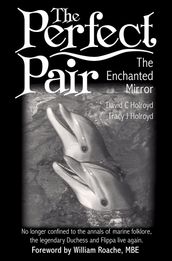 The Perfect Pair: The Enchanted Mirror