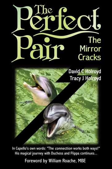The Perfect Pair: The Mirror Cracks - David C Holroyd - Tracy J Holroyd
