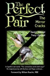 The Perfect Pair: The Mirror Cracks