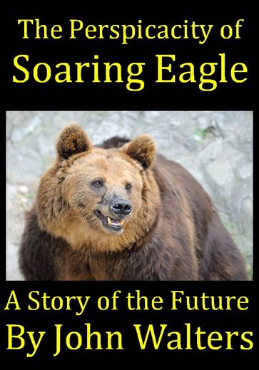 The Perspicacity of Soaring Eagle - John Walters