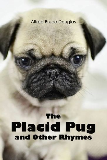 The Placid Pug, and Other Rhymes - Alfred Bruce Douglass