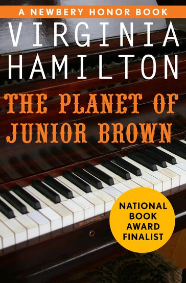 The Planet of Junior Brown - Virginia Hamilton