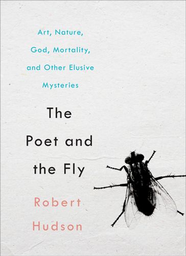 The Poet and the Fly - Robert Hudson