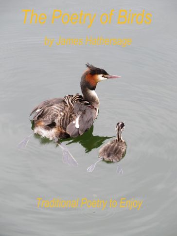 The Poetry of Birds - James Hathersage