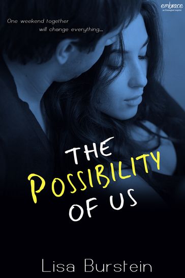 The Possibility of Us - Lisa Burstein
