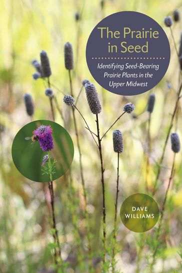 The Prairie in Seed - Dave Williams