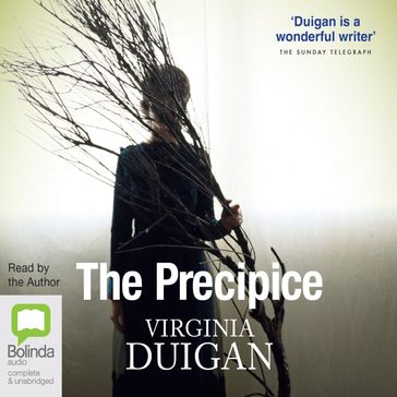 The Precipice - Virginia Duigan