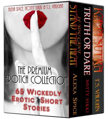 The Premium Erotica Collection (65 Wickedly Erotic Short Stories) - Alexa Spice - Notty Nikki - T.S. VAUGHN