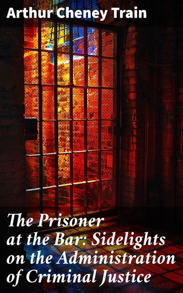 The Prisoner at the Bar: Sidelights on the Administration of Criminal Justice - Arthur Cheney Train