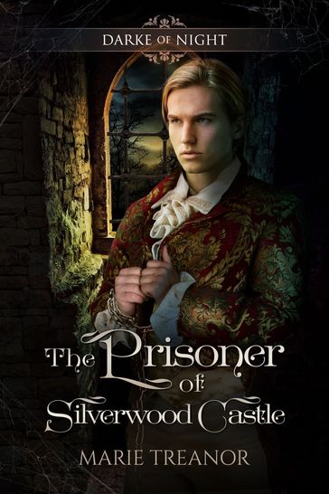 The Prisoner of Silverwood Castle - Marie Treanor