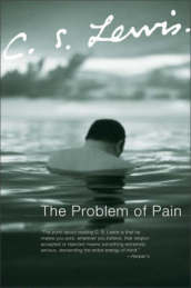 The Problem of Pain