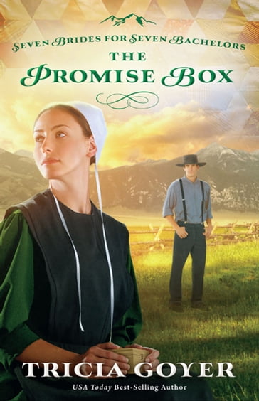 The Promise Box - Tricia Goyer