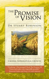 The Promise Of Vision