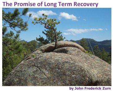 The Promise of Long Term Recovery - John Frederick Zurn