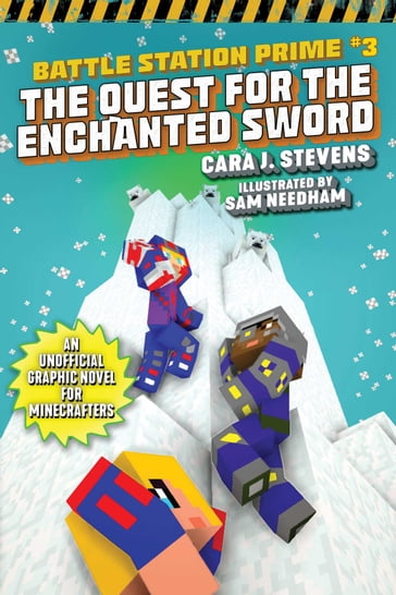 The Quest for the Enchanted Sword - Cara J. Stevens