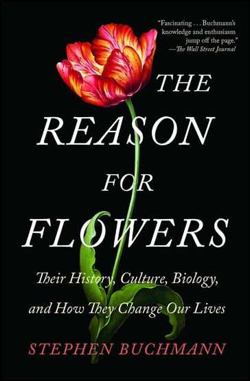 The Reason for Flowers - Stephen Buchmann