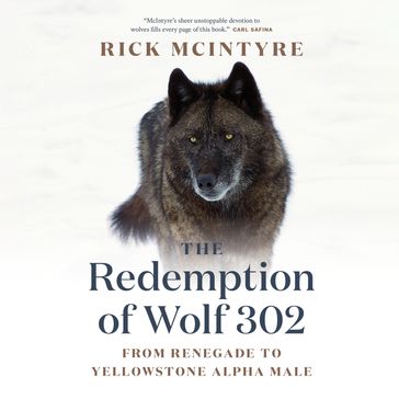 The Redemption of Wolf 302 - Rick McIntyre