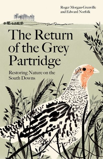 The Return of the Grey Partridge - Roger Morgan-Grenville - Edward Norfolk
