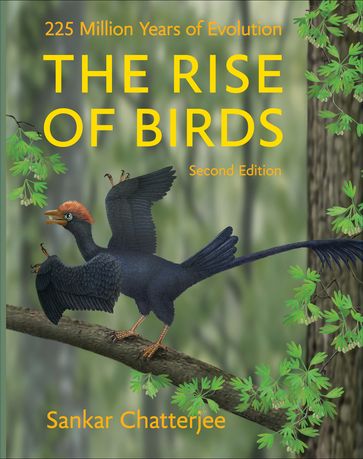 The Rise of Birds - Sankar Chatterjee