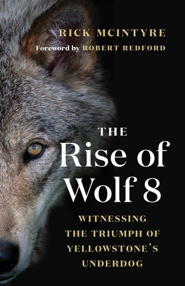 The Rise of Wolf 8 - Rick McIntyre