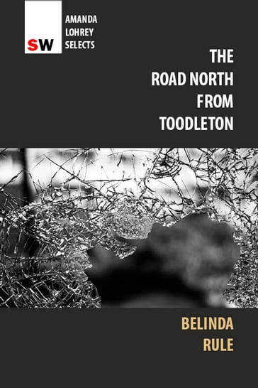 The Road North From Toodleton - Belinda Rule