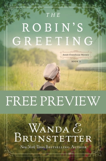 The Robin's Greeting - Wanda E. Brunstetter