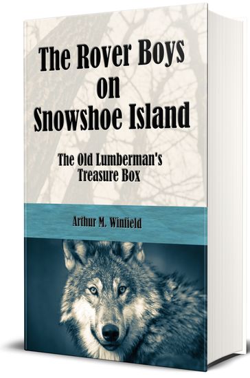 The Rover Boys on Snowshoe Island (Illustrated) - Arthur M. Winfield - Edward Stratemeyer