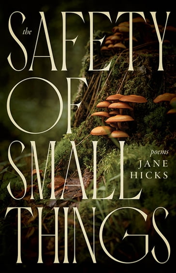 The Safety of Small Things - Jane Hicks