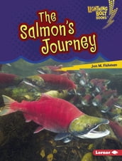 The Salmon s Journey