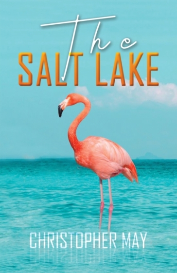 The Salt Lake - Christopher May