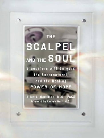 The Scalpel and the Soul - FACS Allan J. Hamilton MD