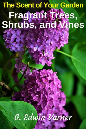 The Scent of Your Garden: Fragrant Trees, Shrubs, and Vines - G. Edwin Varner