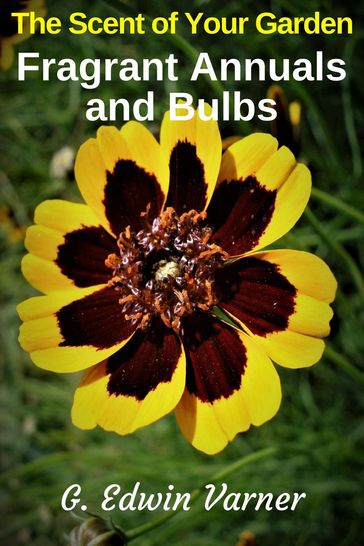 The Scent of Your Garden: Fragrant Annuals and Bulbs - G. Edwin Varner