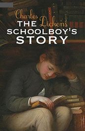 The Schoolboy s Story Illustrated