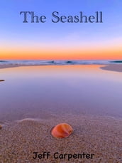 The Seashell