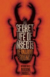 The Secret Life of Insects and Other Stories