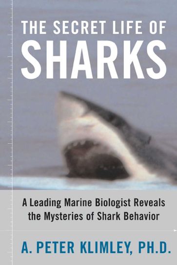 The Secret Life of Sharks - A. Peter Klimley