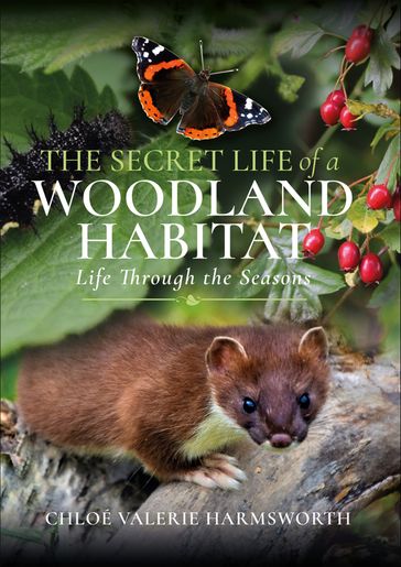 The Secret Life of a Woodland Habitat - Chloé Valerie Harmsworth