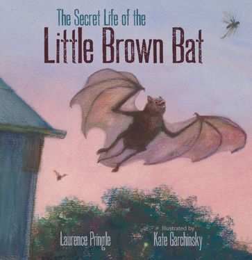 The Secret Life of the Little Brown Bat - Laurence Pringle