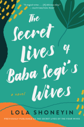 The Secret Lives of Baba Segi