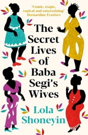 The Secret Lives of Baba Segi