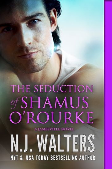 The Seduction of Shamus O'Rourke - N.J. Walters