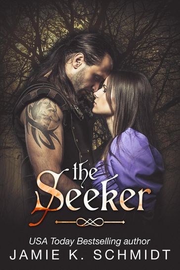 The Seeker - Jamie K. Schmidt