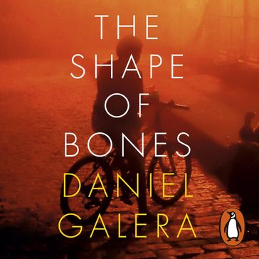 The Shape of Bones - Daniel Galera