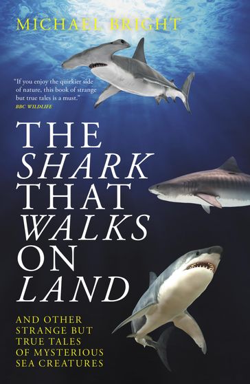 The Shark That Walks On Land - Michael Bright