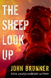 The Sheep Look Up