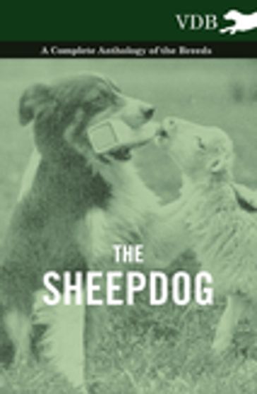 The Sheepdog - A Complete Anthology of the Breeds - AA.VV. Artisti Vari