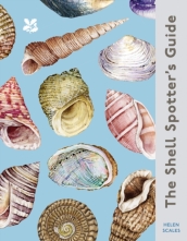 The Shell Spotter¿s Guide